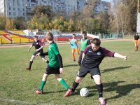 IMG_7737